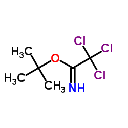 叔丁基 2,2,2-三氯乙酰亞胺酯