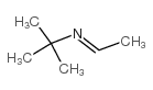 N-叔丁基乙基亞胺