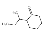 2-仲-丁基環(huán)己酮