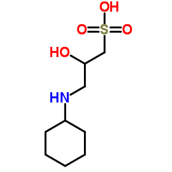 3-(環(huán)己胺)-2-羥基-1-丙磺酸 