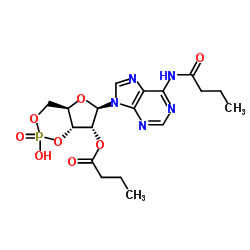 二丁酰環(huán)磷腺苷鈣