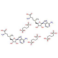 S-腺苷蛋氨酸 1,4-丁二磺酸鹽