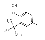 2-叔丁基-4-羥基茴香醚