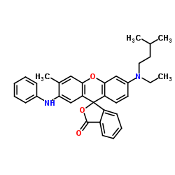 3-N-異戊基-N-乙氨基-6-甲基-7-苯氨基熒烷