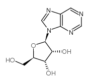 9 - (beta-D -呋喃核糖)嘌呤