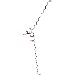 二棕櫚酰羥脯氨酸