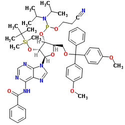 Bz-rA 亞磷酰胺單體