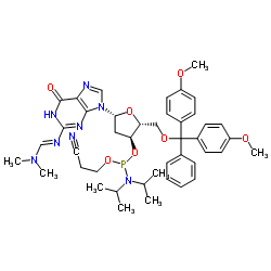 DMF-dG亞磷酰胺單體