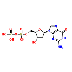 2'-脫氧鳥(niǎo)苷-5'-二磷酸三鈉鹽