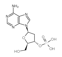 2'-脫氧腺苷-3'-單磷酸