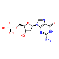 2'-脫氧鳥苷-5'-單磷酸