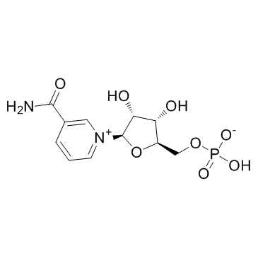 β-煙酰胺單核苷酸  NMN