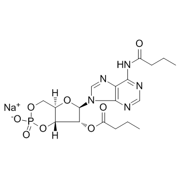 N6,2'-O-二丁酰基腺苷3',5'-環(huán)磷酸鈉鹽