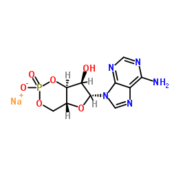 腺苷-3',5'-環(huán)狀單磷酸鈉水合物