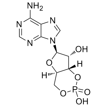 腺苷-3',5'-環(huán)狀單磷酸