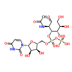 尿苷-5'-二磷酸-D-乙酰氨基半乳糖二鈉鹽