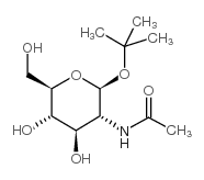 特丁基-2-乙酰氨基-2-脫氧-beta-D-葡萄糖苷