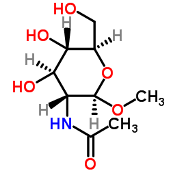 甲基-2-乙酰氨基-2-脫氧-beta-D-葡萄糖苷