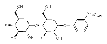4-異硫氫酸苯基-beta-D-乳糖苷