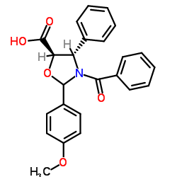 紫杉醇側(cè)鏈