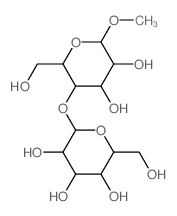 甲基-beta-D-麥芽糖