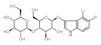 5-溴-4-氯-3-吲哚-beta-纖維二糖苷