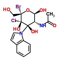 5-溴-4-氯-3-吲哚基-N-乙酰-beta-D-氨基半乳糖苷