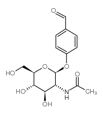 對甲?；交?2-乙酰氨基-2-脫氧-beta-D-葡萄糖苷