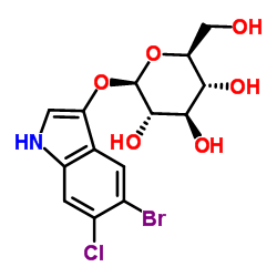 5-溴-6-氯-3-吲哚基-beta-D-半乳糖苷