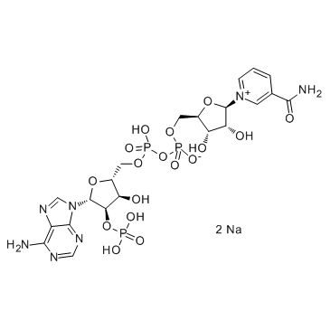 β-煙酰胺腺嘌呤二核苷酸磷酸（氧化型）NADP