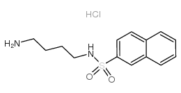 N-(4-氨基丁基)-2-萘磺酰鹽酸鹽