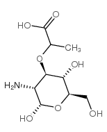 胞壁酸; 2-氨基-3-O-(1-羧乙基)-2-脫氧-D-葡萄糖