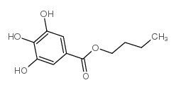 沒食子酸正丁基 酯