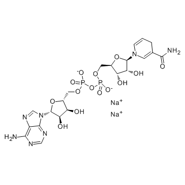 β-煙酰胺腺嘌呤二核苷酸二鈉鹽水合物（還原型）NADH
