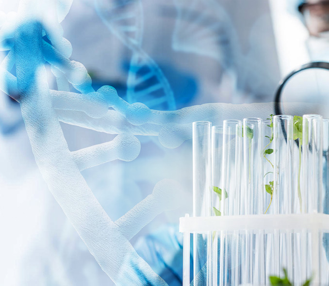 生物染色劑