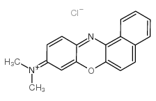 新藍(lán)R